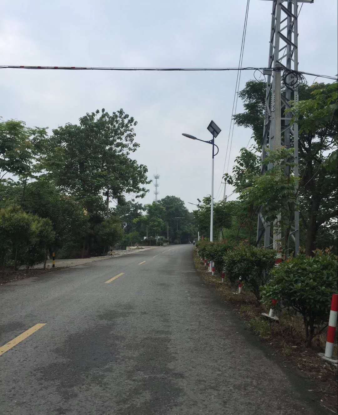 【太阳能路灯厂家直销】阳江镇关王村在主干路狮澄路170盏太阳能路灯工程案例。
